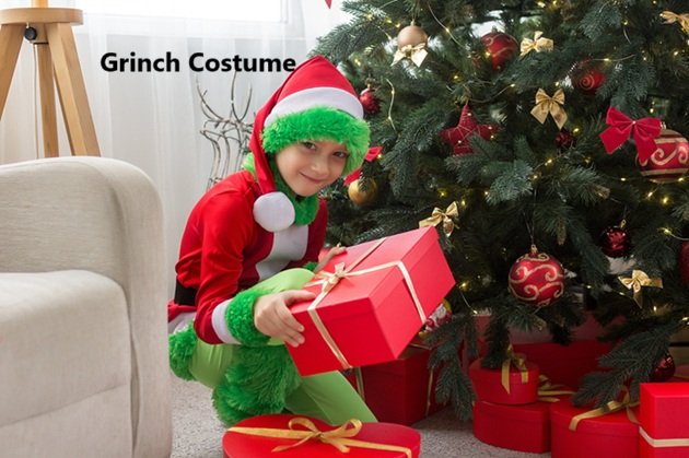 Grinch Costume